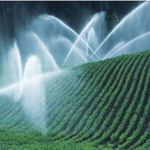 IRRIGATION SYSTEMS